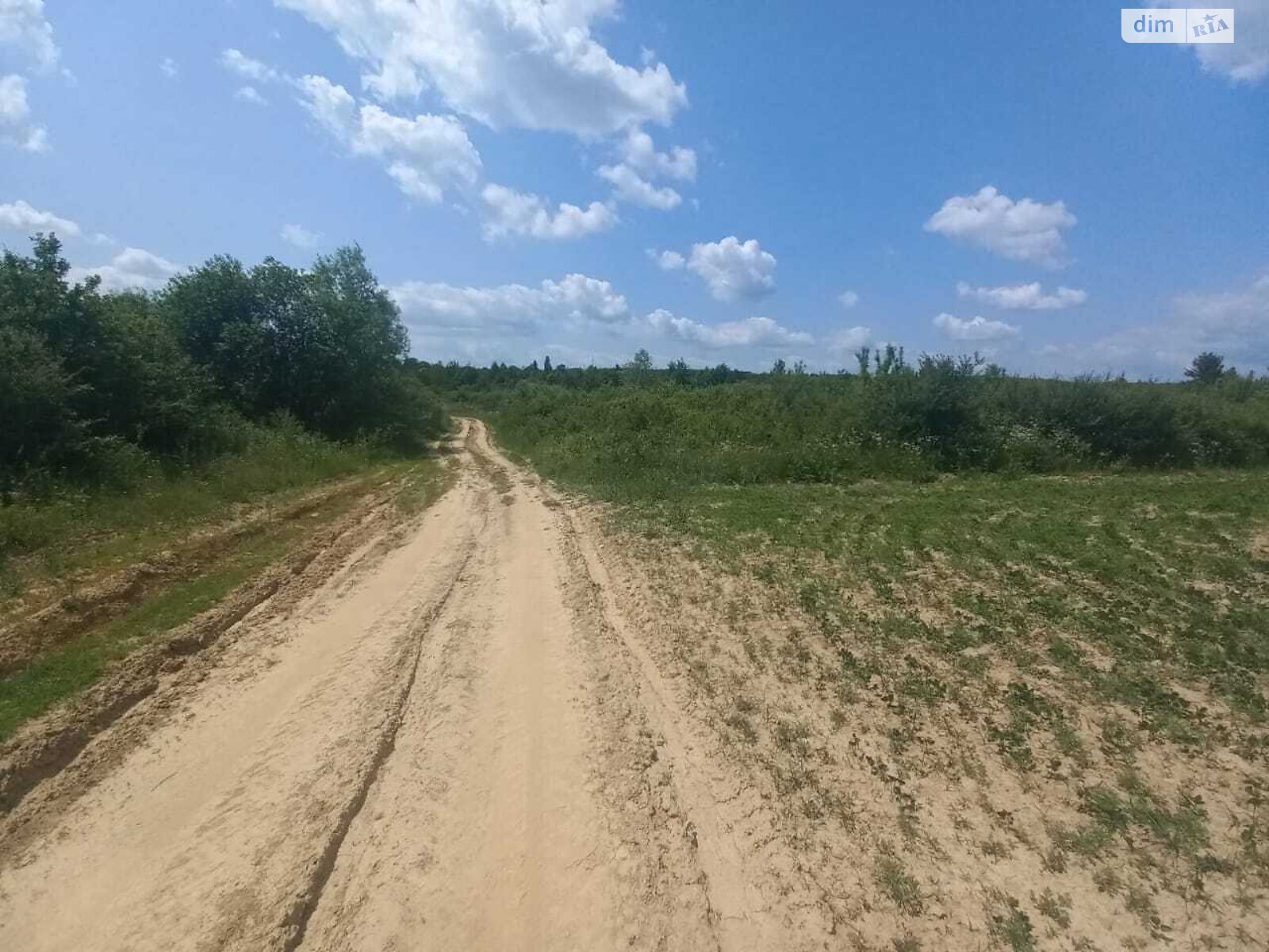 Земельна ділянка сільськогосподарського призначення в Кальнику, площа 600 соток фото 1 Земельна ділянка сільськогосподарського призначення в Кальнику, площа 600 соток фото 1
