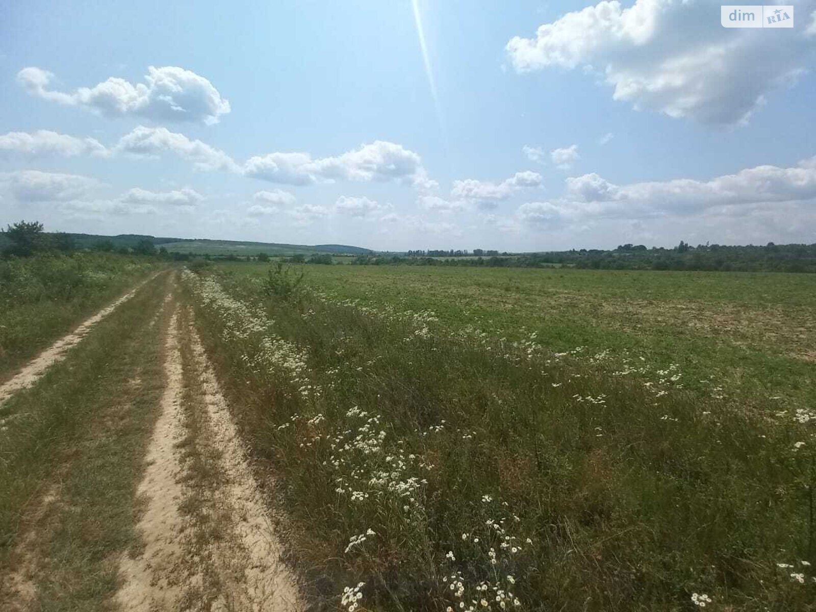 Земельна ділянка сільськогосподарського призначення в Кальнику, площа 600 соток фото 1 Земельна ділянка сільськогосподарського призначення в Кальнику, площа 600 соток фото 1