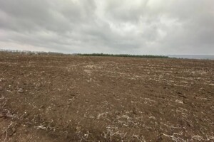 Земельный участок сельскохозяйственного назначения в Каменце-Подольском, площадь 2 Га фото 2