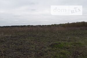 Земельный участок сельскохозяйственного назначения в Хмельной, площадь 2 Га фото 2