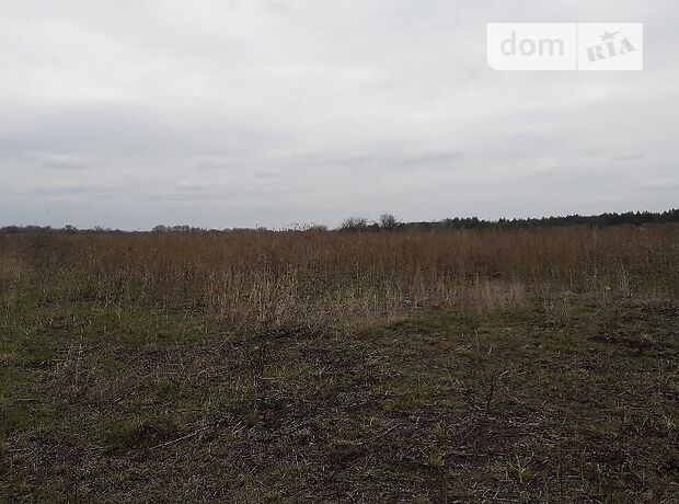 Земля сільськогосподарського призначення в селі Хмільна, площа 2 Га фото 1 Земля сільськогосподарського призначення в селі Хмільна, площа 2 Га фото 1