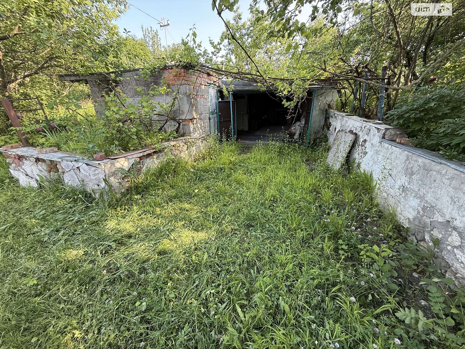 Земельна ділянка сільськогосподарського призначення в Карпівцях, площа 6 соток фото 1