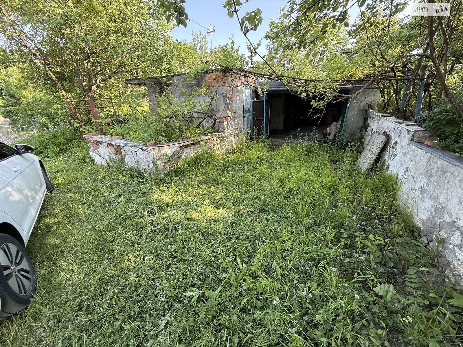 Земельна ділянка сільськогосподарського призначення в Карпівцях, площа 6 соток фото 1