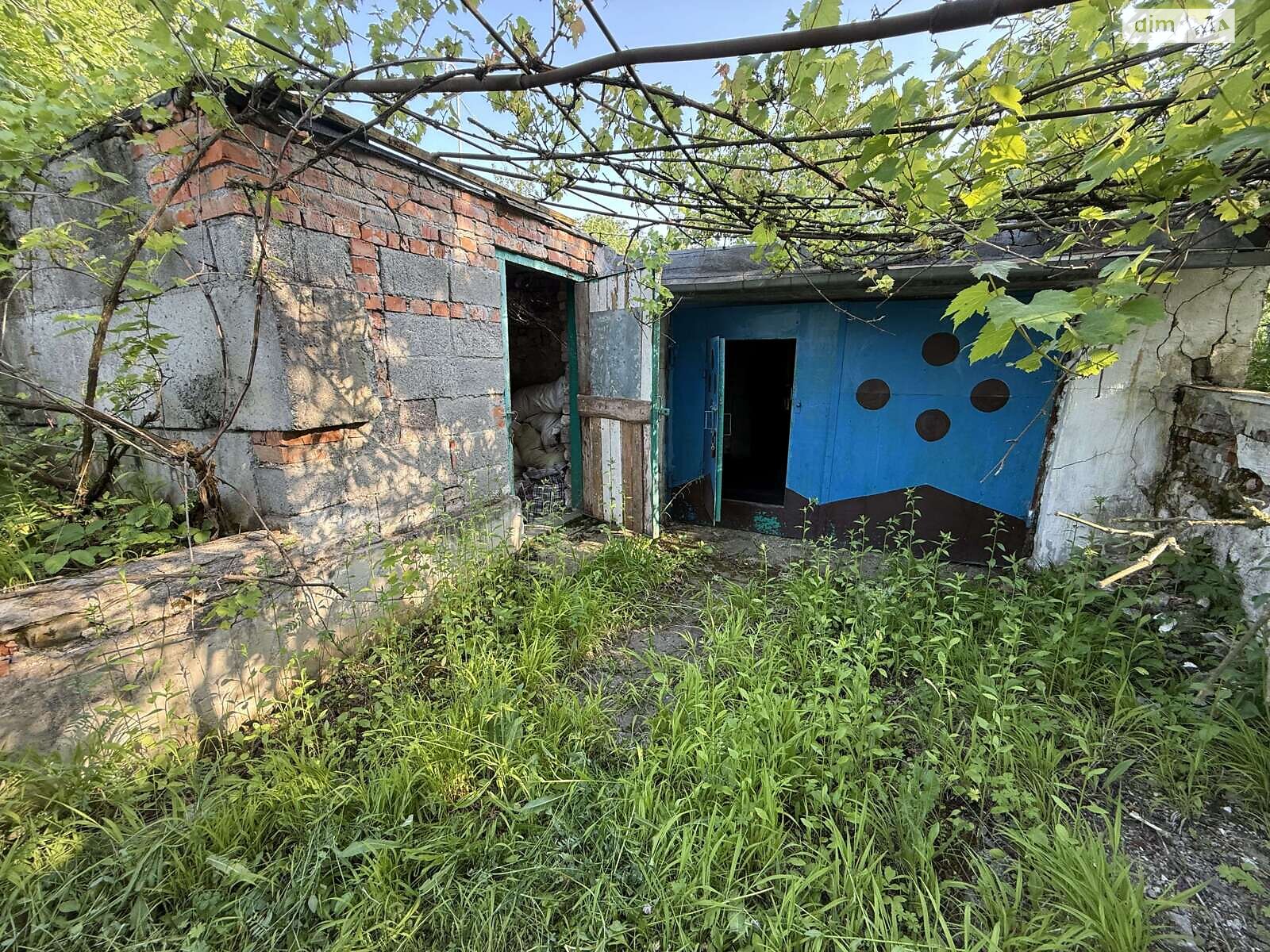 Земельна ділянка сільськогосподарського призначення в Карпівцях, площа 6 соток фото 1