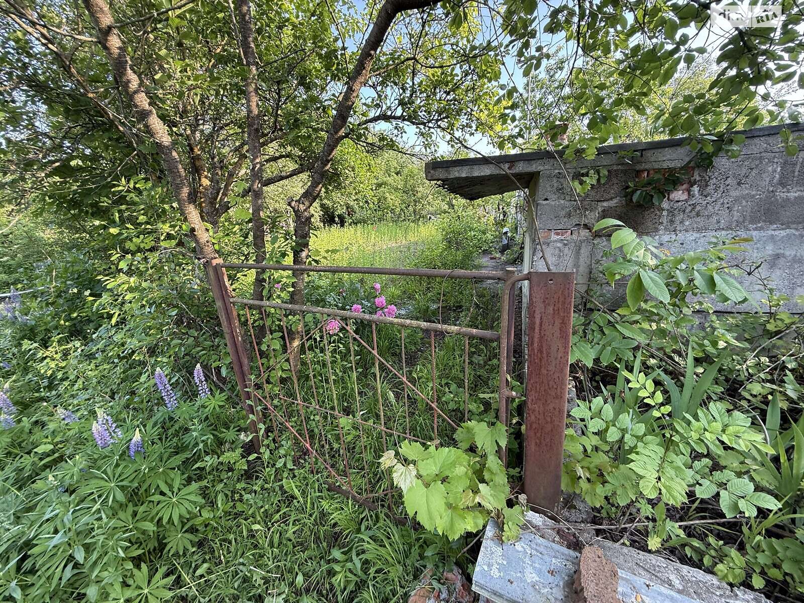 Земельна ділянка сільськогосподарського призначення в Карпівцях, площа 6 соток фото 1