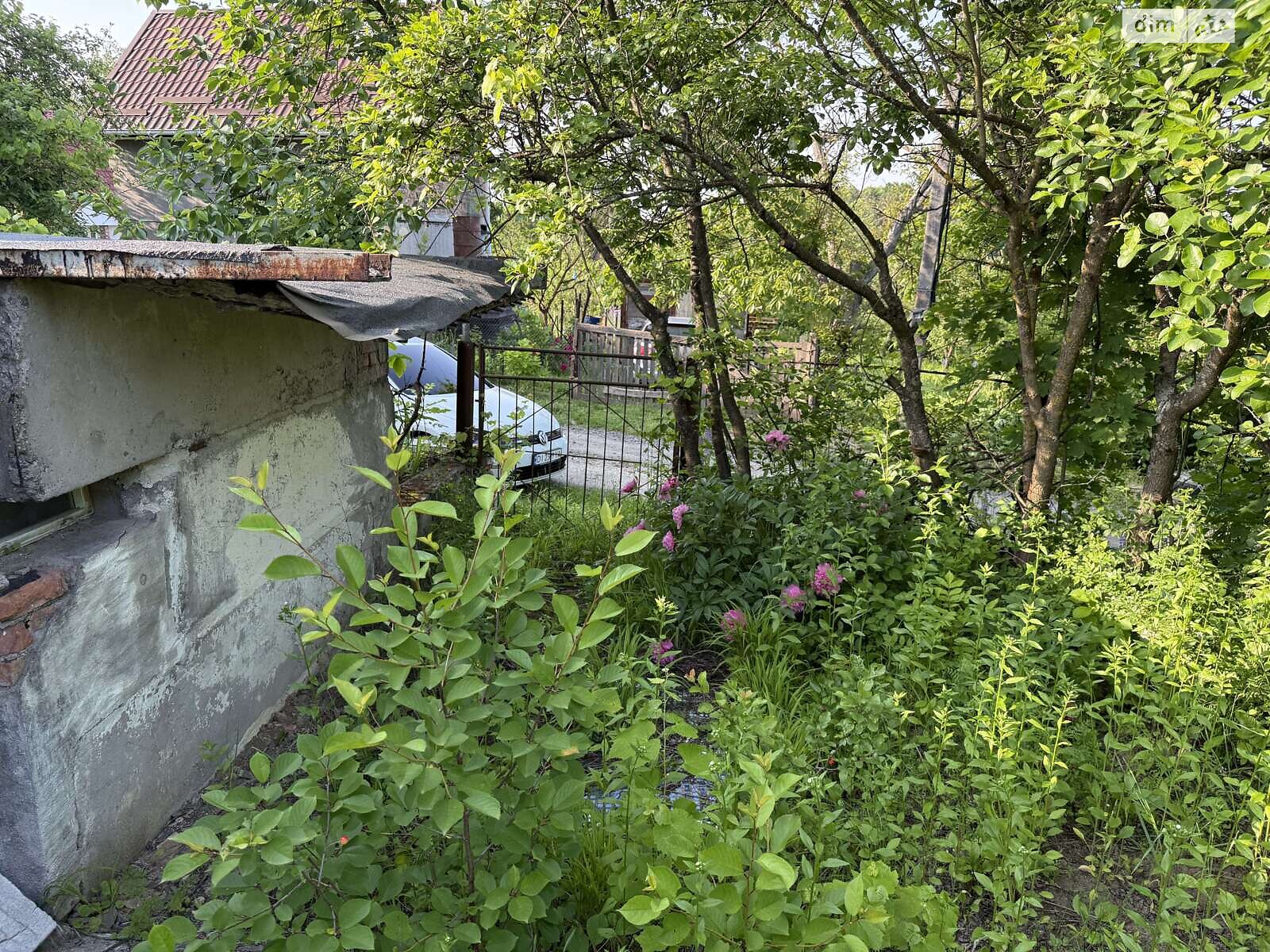 Земельна ділянка сільськогосподарського призначення в Карпівцях, площа 6 соток фото 1