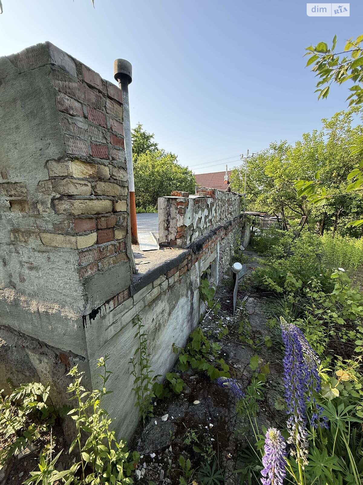 Земельна ділянка сільськогосподарського призначення в Карпівцях, площа 6 соток фото 1