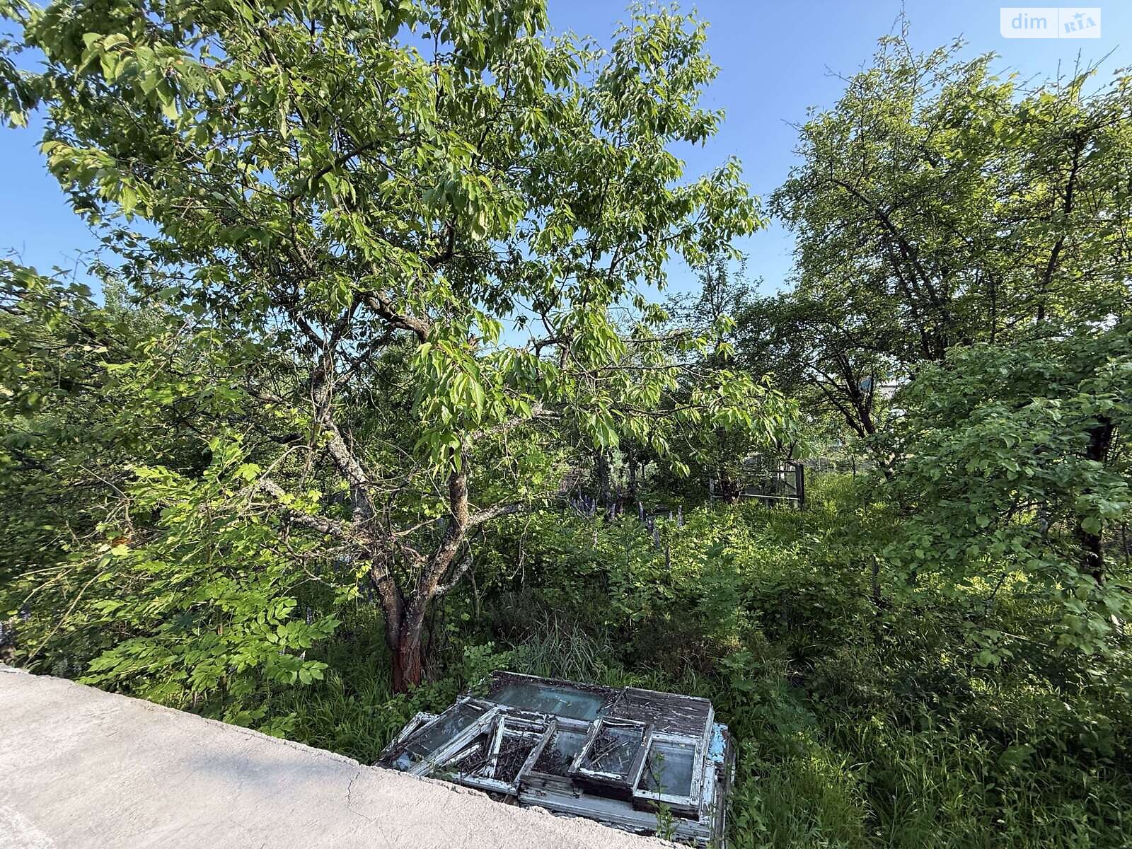 Земельна ділянка сільськогосподарського призначення в Карпівцях, площа 6 соток фото 1