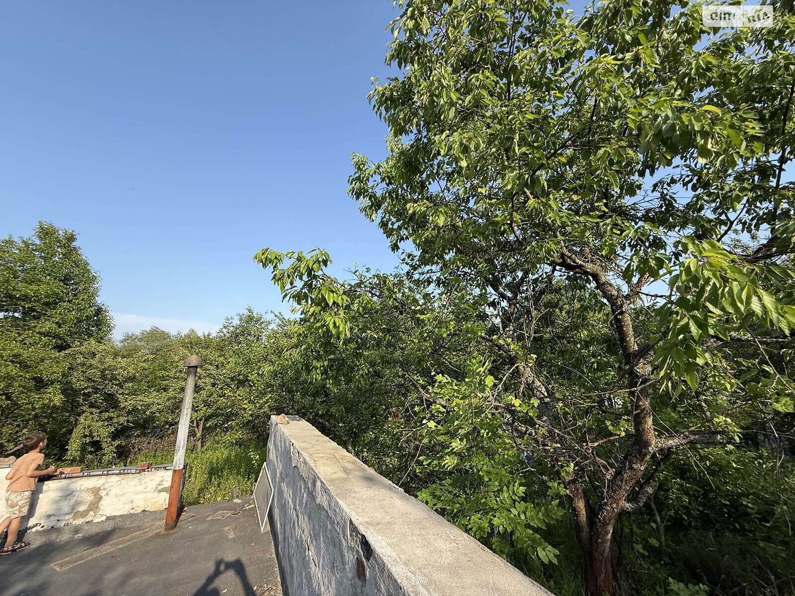 Земельна ділянка сільськогосподарського призначення в Карпівцях, площа 6 соток фото 1