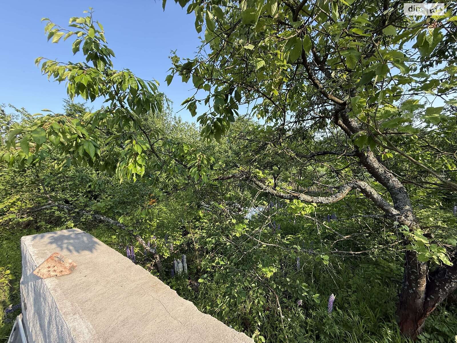 Земельна ділянка сільськогосподарського призначення в Карпівцях, площа 6 соток фото 1