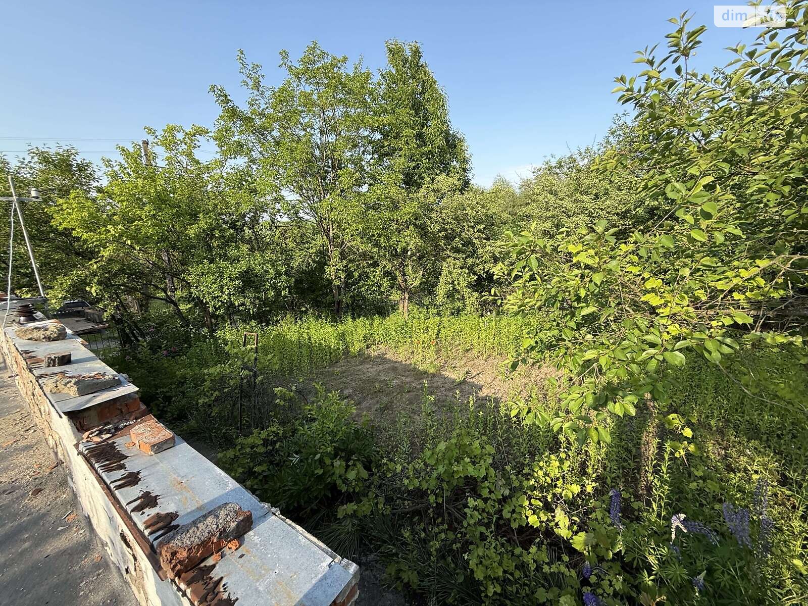 Земельна ділянка сільськогосподарського призначення в Карпівцях, площа 6 соток фото 1