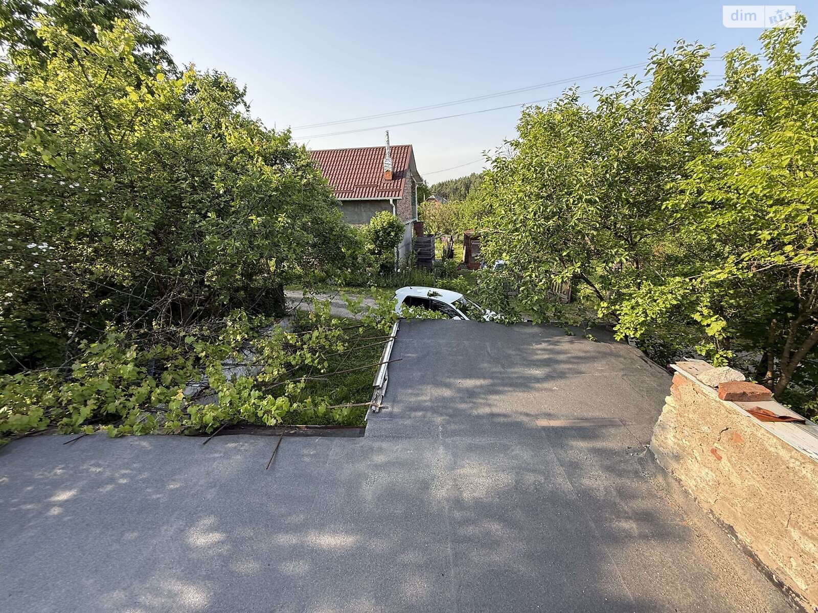 Земельна ділянка сільськогосподарського призначення в Карпівцях, площа 6 соток фото 1