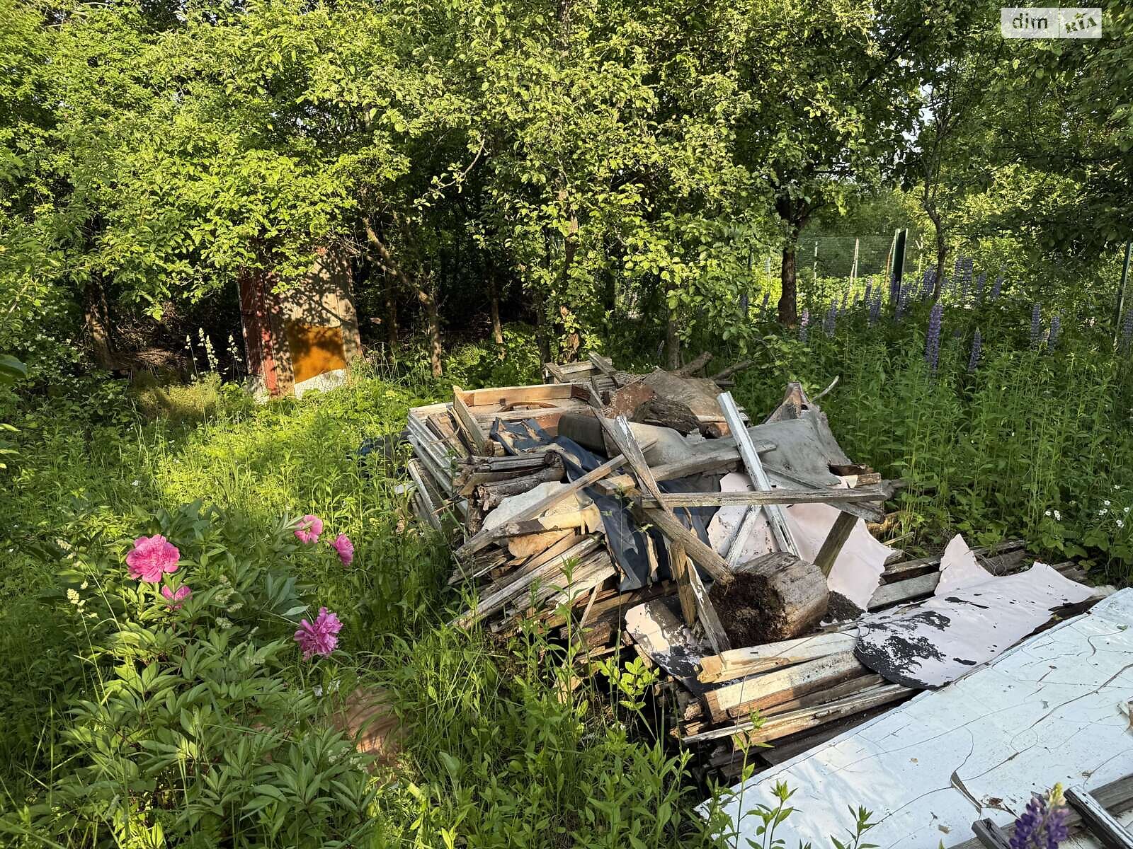 Земельна ділянка сільськогосподарського призначення в Карпівцях, площа 6 соток фото 1