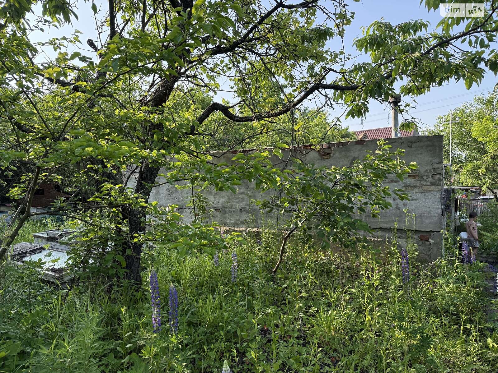 Земельна ділянка сільськогосподарського призначення в Карпівцях, площа 6 соток фото 1