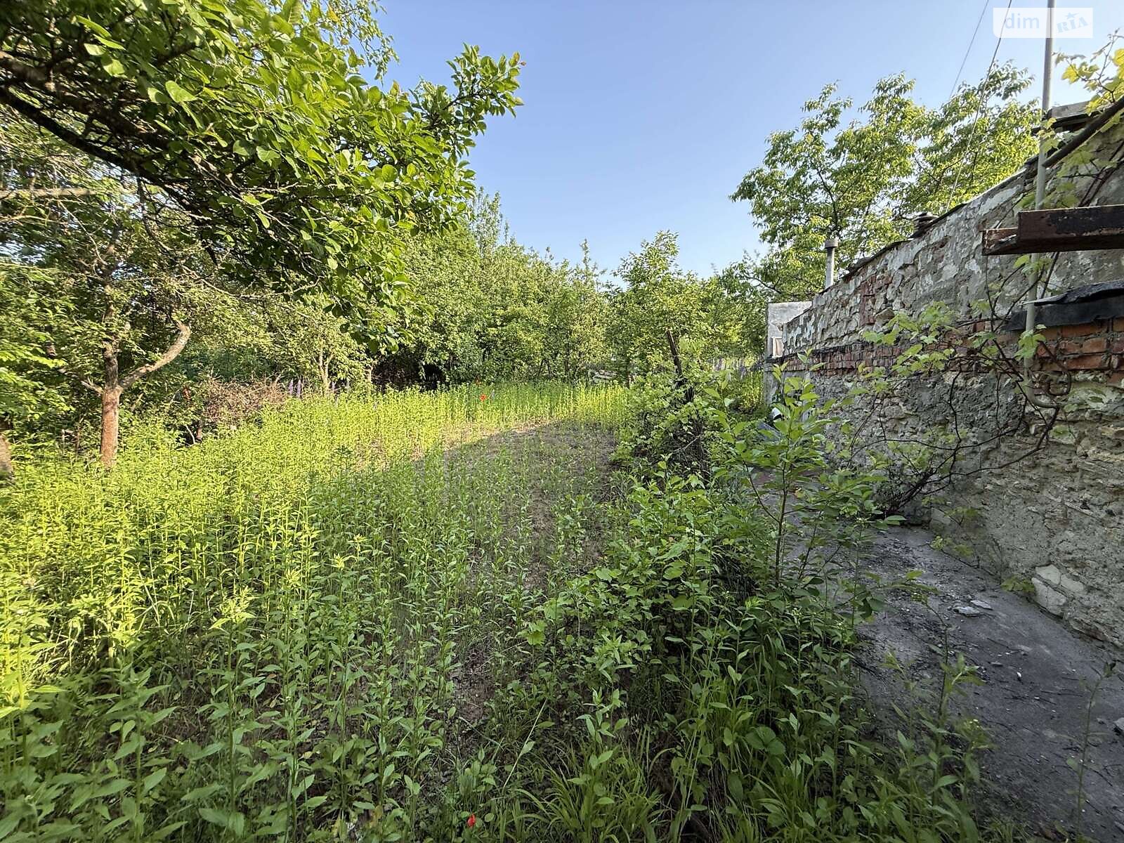 Земельна ділянка сільськогосподарського призначення в Карпівцях, площа 6 соток фото 1