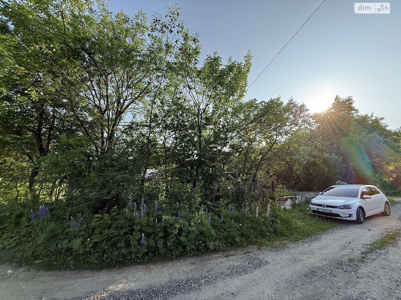 Земельна ділянка сільськогосподарського призначення в Карпівцях, площа 6 соток фото 1