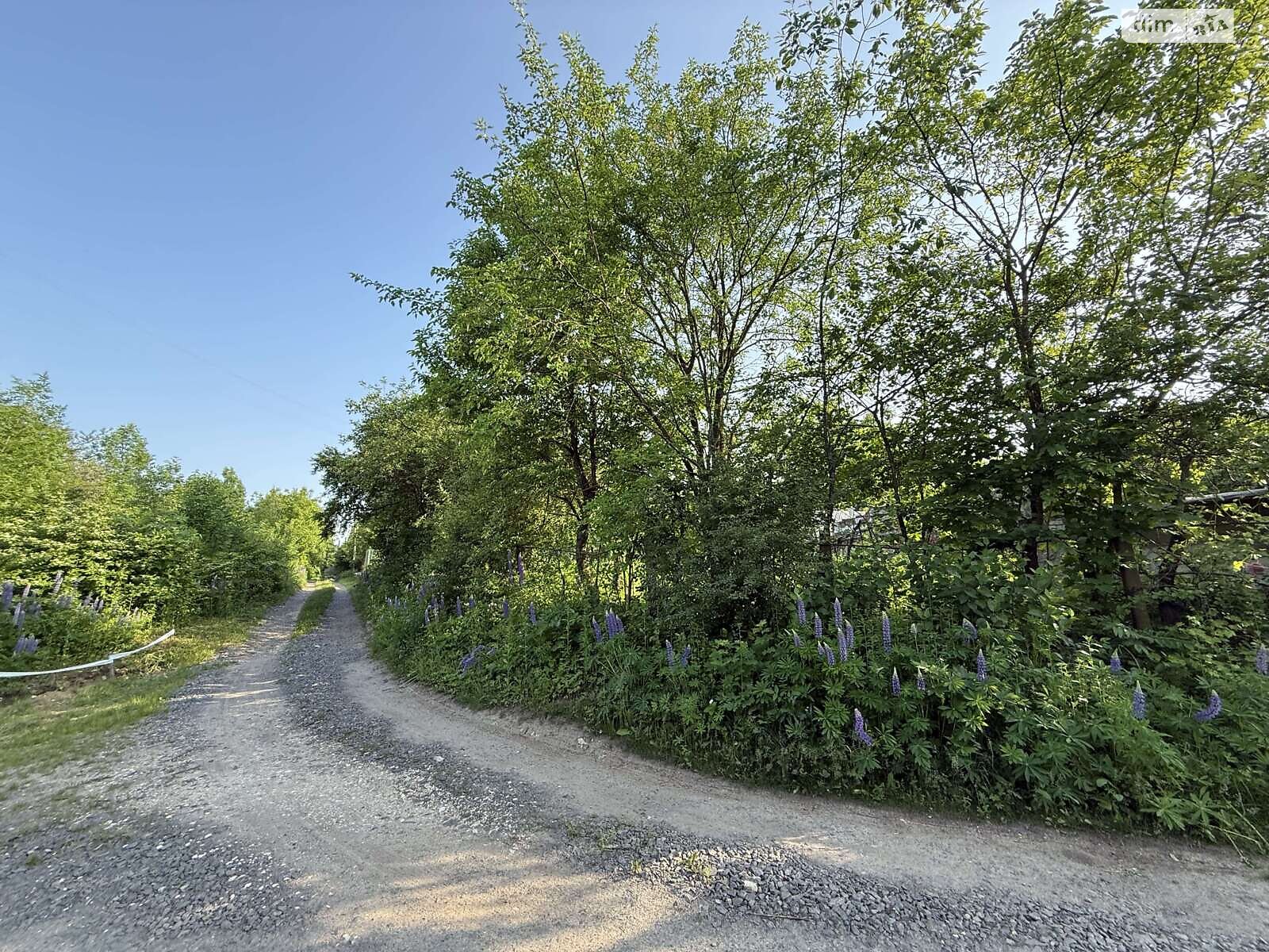 Земельна ділянка сільськогосподарського призначення в Карпівцях, площа 6 соток фото 1