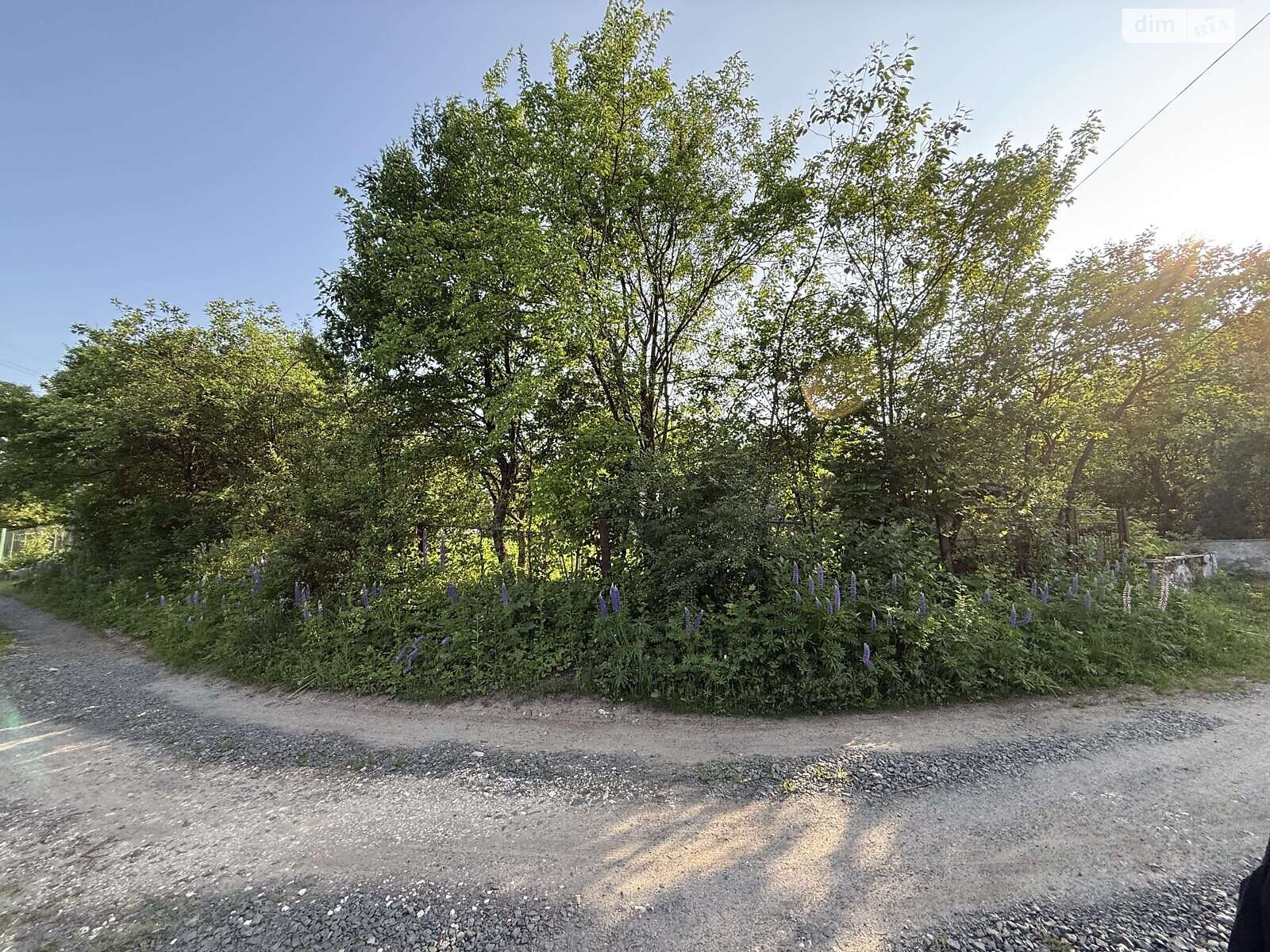 Земельна ділянка сільськогосподарського призначення в Карпівцях, площа 6 соток фото 1