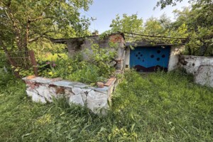 Земельна ділянка сільськогосподарського призначення в Карпівцях, площа 6 соток фото 2