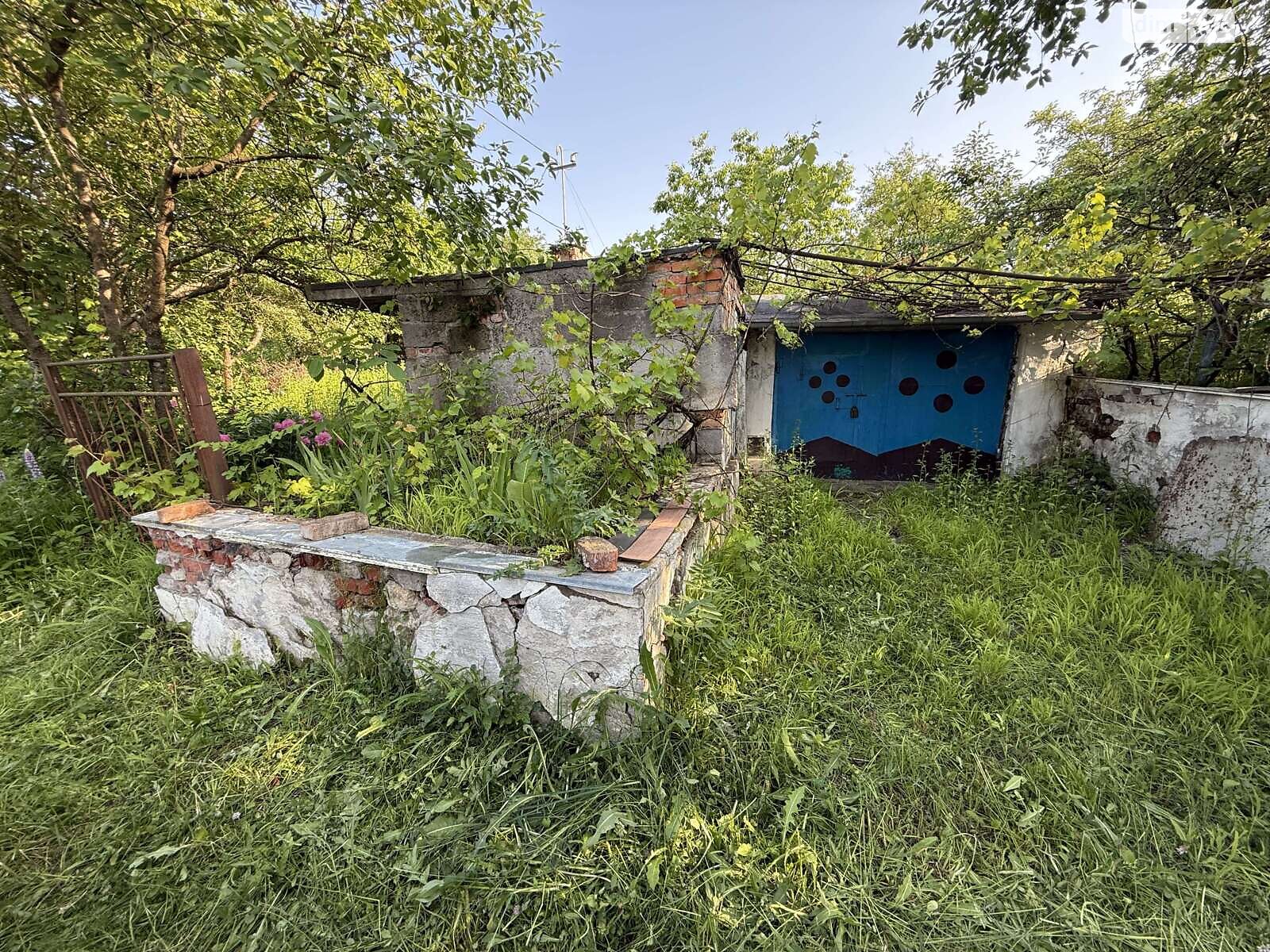 Земельна ділянка сільськогосподарського призначення в Карпівцях, площа 6 соток фото 1