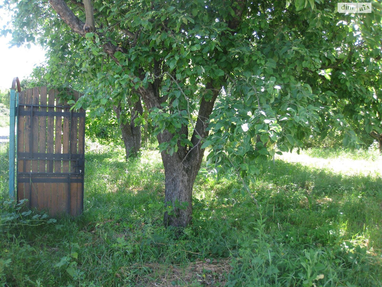 Земля сельскохозяйственного назначения в Киеве, район Академгородок, площадь 7 соток фото 1