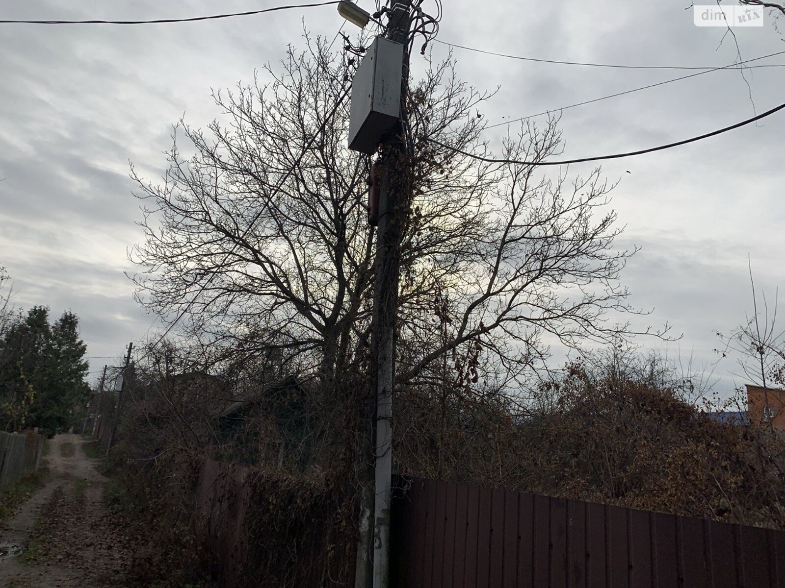 Земля сельскохозяйственного назначения в Киеве, район Берковец, площадь 6 соток фото 1