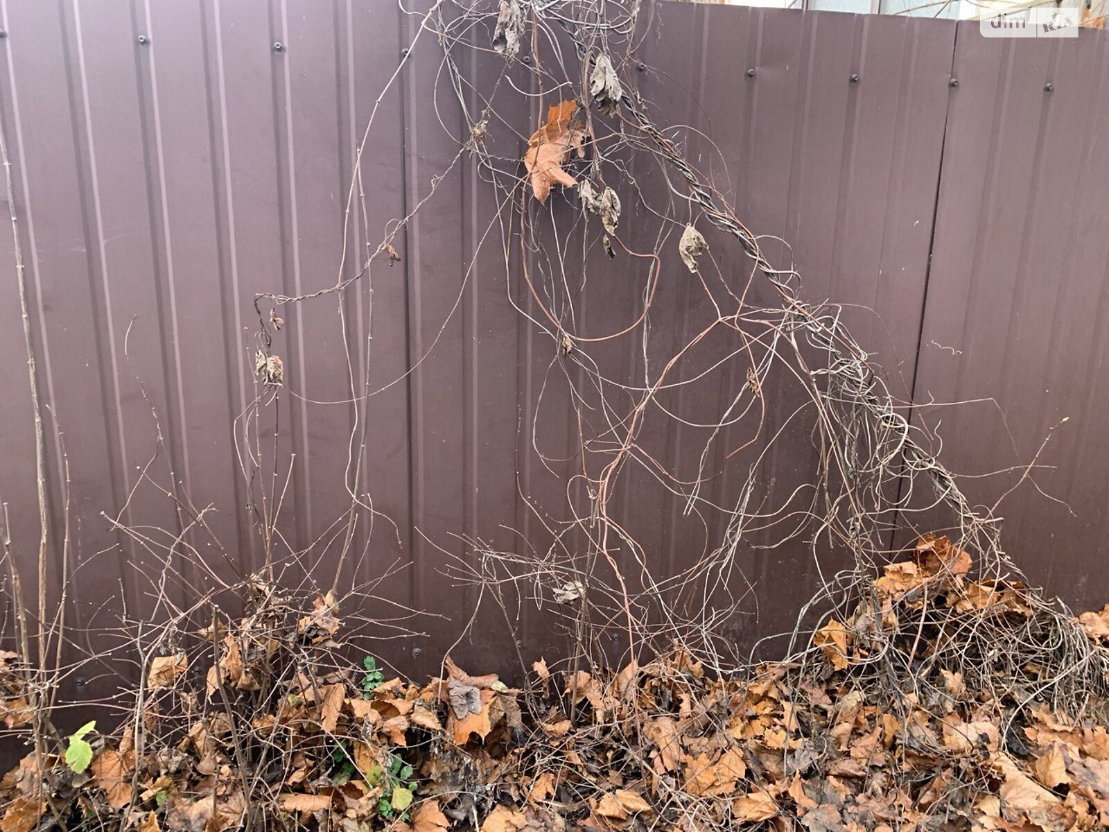 Земля сельскохозяйственного назначения в Киеве, район Берковец, площадь 6 соток фото 1