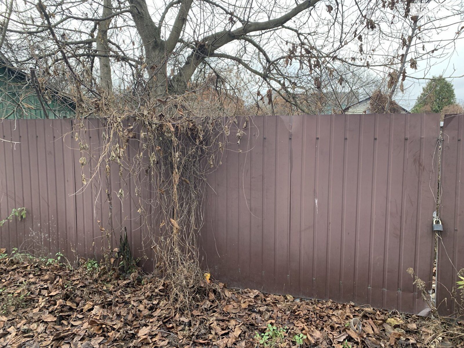 Земля сельскохозяйственного назначения в Киеве, район Берковец, площадь 6 соток фото 1