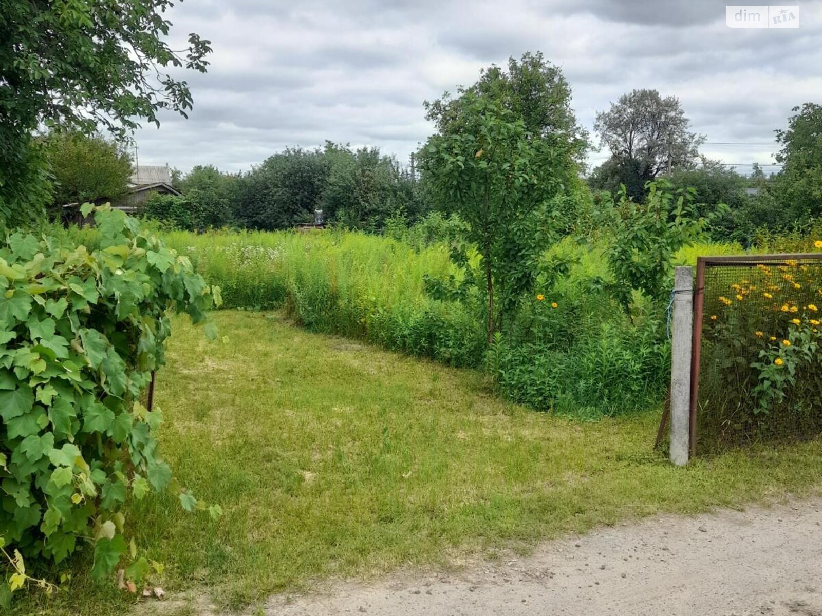 Земля сільськогосподарського призначення в Києві, район Подільський, площа 6 соток фото 1 Земля сільськогосподарського призначення в Києві, район Подільський, площа 6 соток фото 1