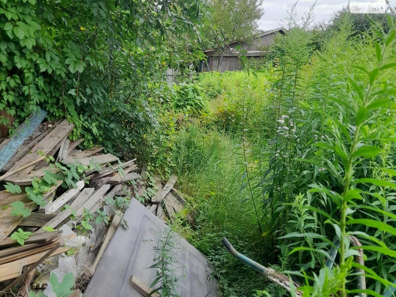 Земля сільськогосподарського призначення в Києві, район Подільський, площа 6 соток фото 1 Земля сільськогосподарського призначення в Києві, район Подільський, площа 6 соток фото 1