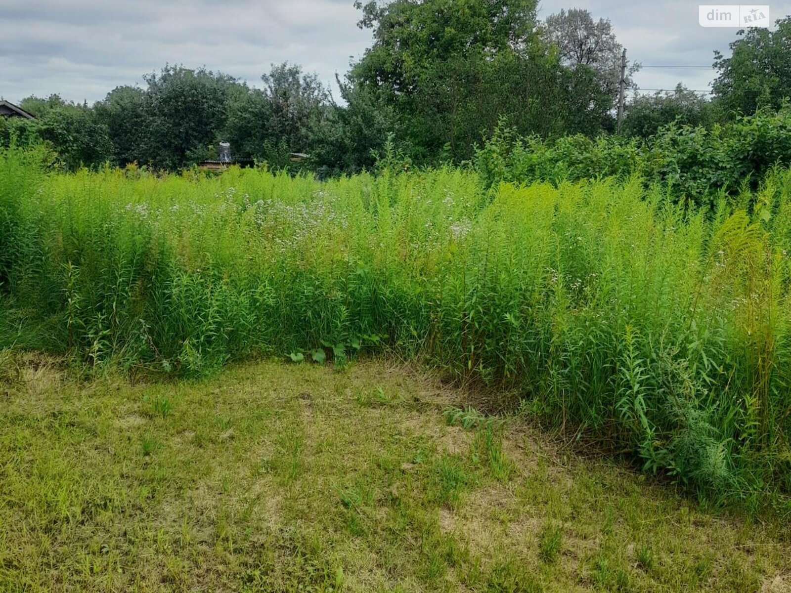 Земля сільськогосподарського призначення в Києві, район Подільський, площа 6 соток фото 1 Земля сільськогосподарського призначення в Києві, район Подільський, площа 6 соток фото 1
