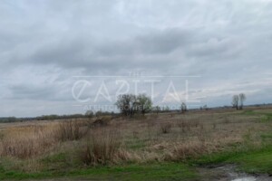 Земля сельскохозяйственного назначения в Киеве, район Бортничи, площадь 160 соток фото 2