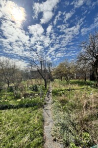 Земля сільськогосподарського призначення в Києві, район Дніпровський, площа 6.15 сотки фото 2 Земля сільськогосподарського призначення в Києві, район Дніпровський, площа 6.15 сотки фото 2