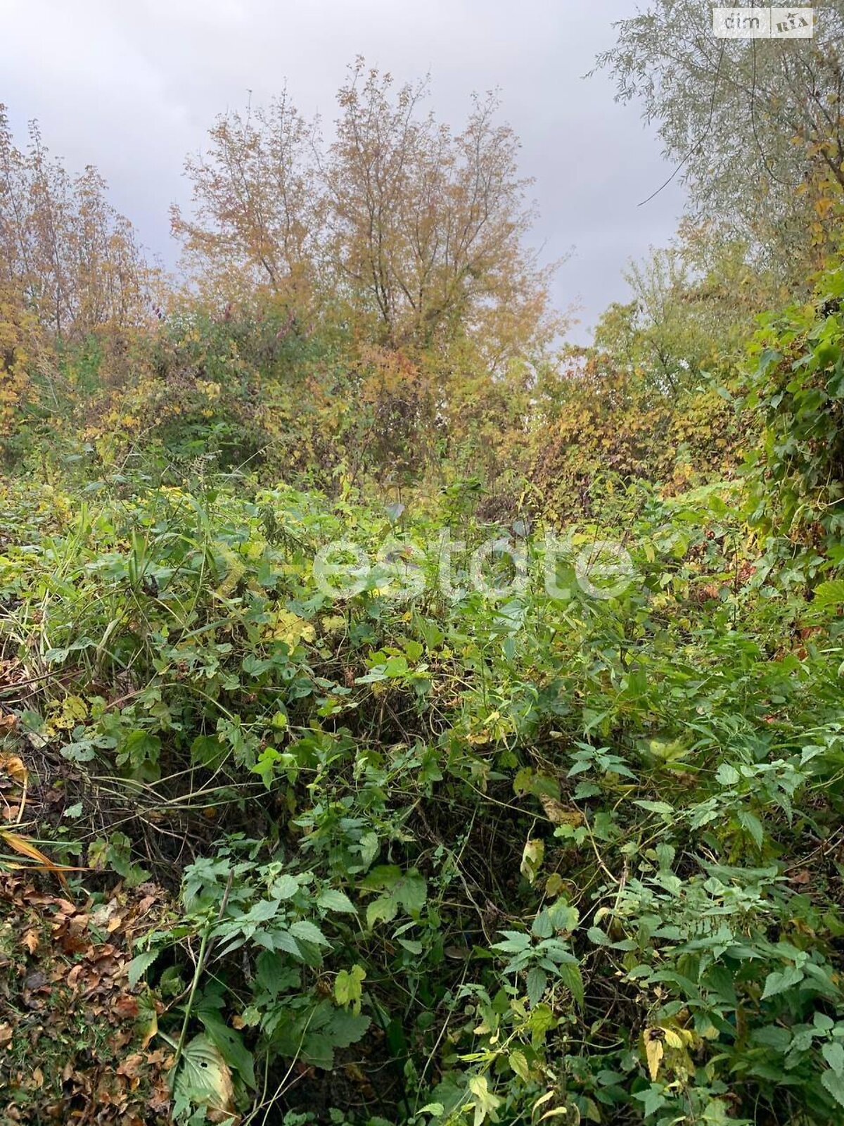 Земля сельскохозяйственного назначения в Киеве, район Мышеловка, площадь 6.17 сотки фото 1 Земля сельскохозяйственного назначения в Киеве, район Мышеловка, площадь 6.17 сотки фото 1