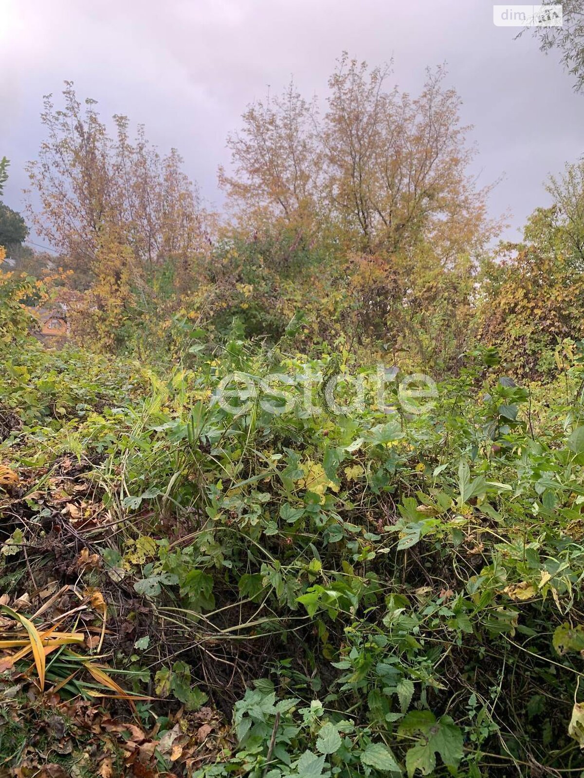 Земля сельскохозяйственного назначения в Киеве, район Мышеловка, площадь 6.17 сотки фото 1 Земля сельскохозяйственного назначения в Киеве, район Мышеловка, площадь 6.17 сотки фото 1