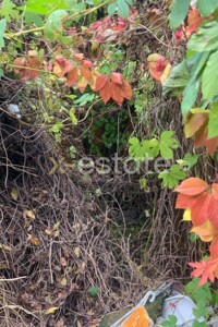 Земля сельскохозяйственного назначения в Киеве, район Мышеловка, площадь 6.17 сотки фото 2 Земля сельскохозяйственного назначения в Киеве, район Мышеловка, площадь 6.17 сотки фото 2