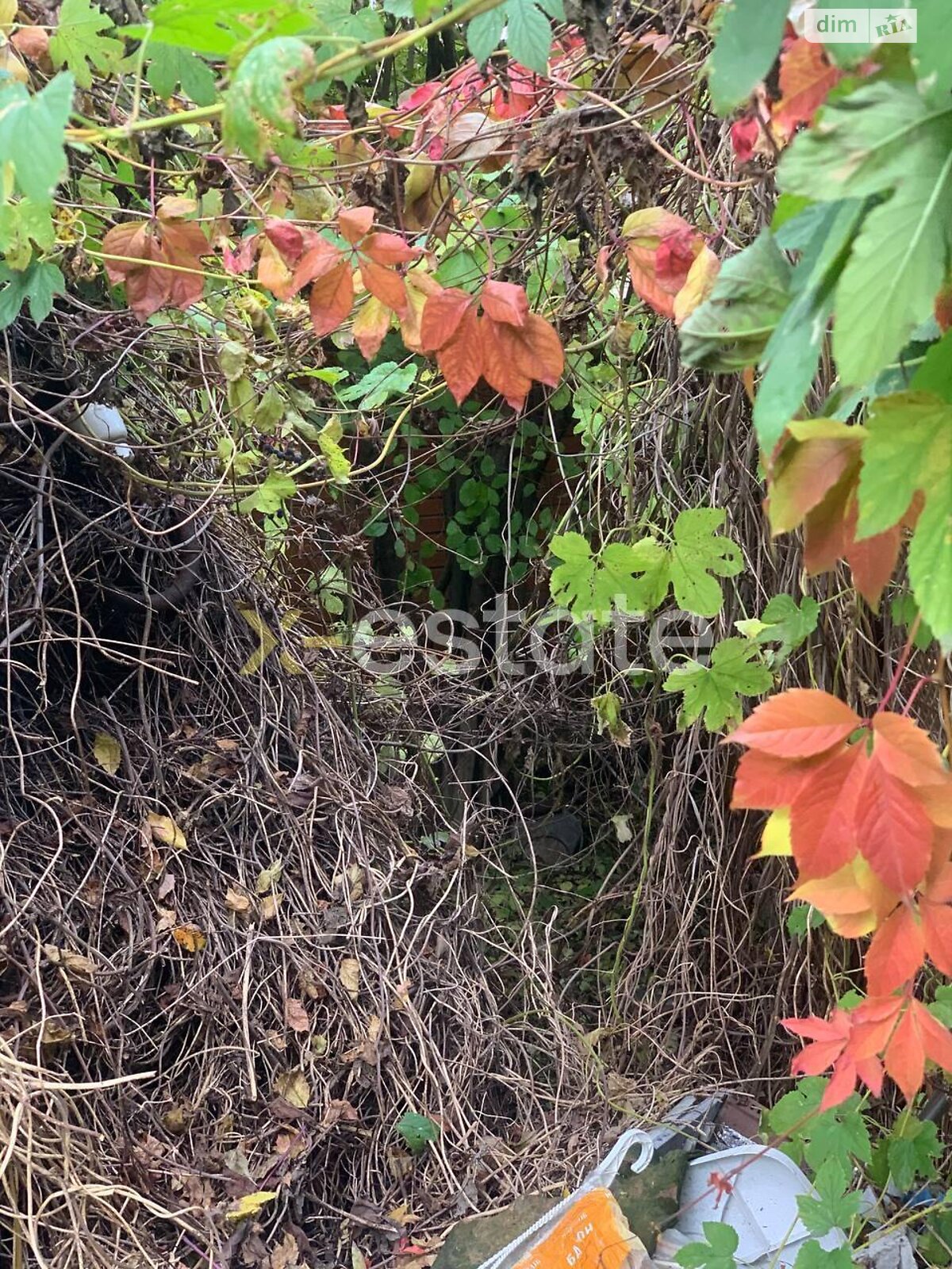Земля сельскохозяйственного назначения в Киеве, район Мышеловка, площадь 6.17 сотки фото 1 Земля сельскохозяйственного назначения в Киеве, район Мышеловка, площадь 6.17 сотки фото 1