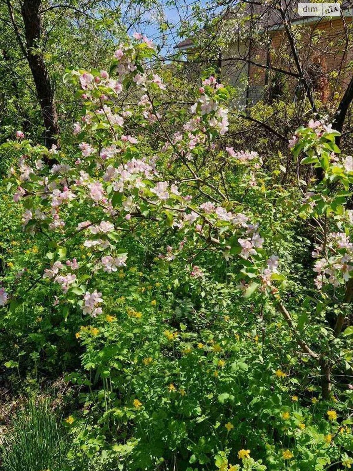 Земля сільськогосподарського призначення в Києві, район Оболонський, площа 4.19 сотки фото 1