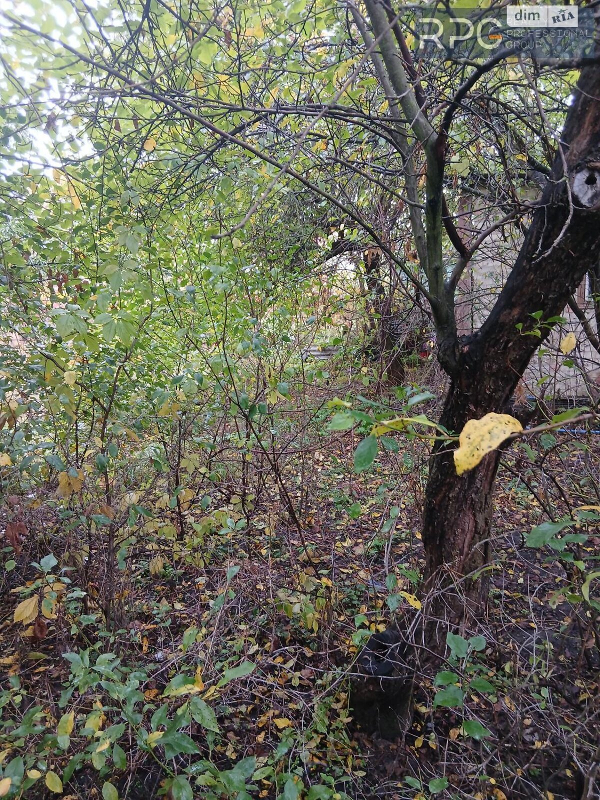 Земля сільськогосподарського призначення в Києві, район Оболонський, площа 4.19 сотки фото 1