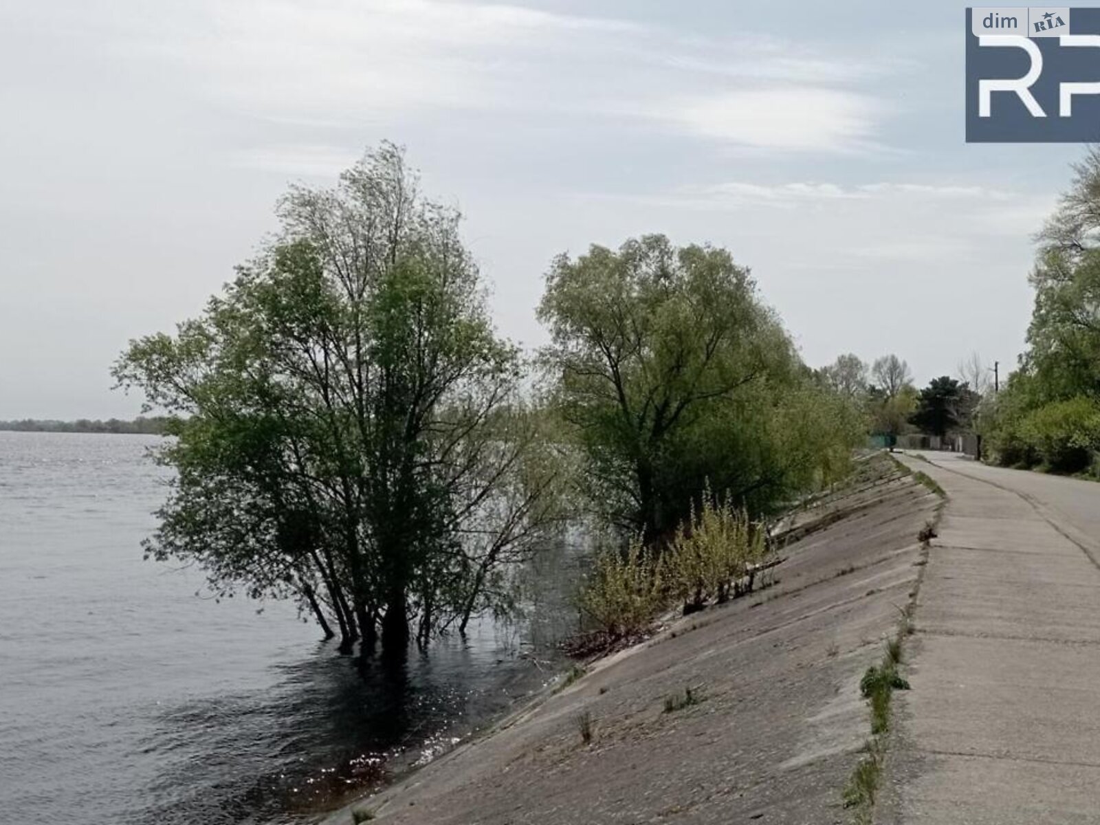 Земля сільськогосподарського призначення в Києві, район Оболонський, площа 4.19 сотки фото 1
