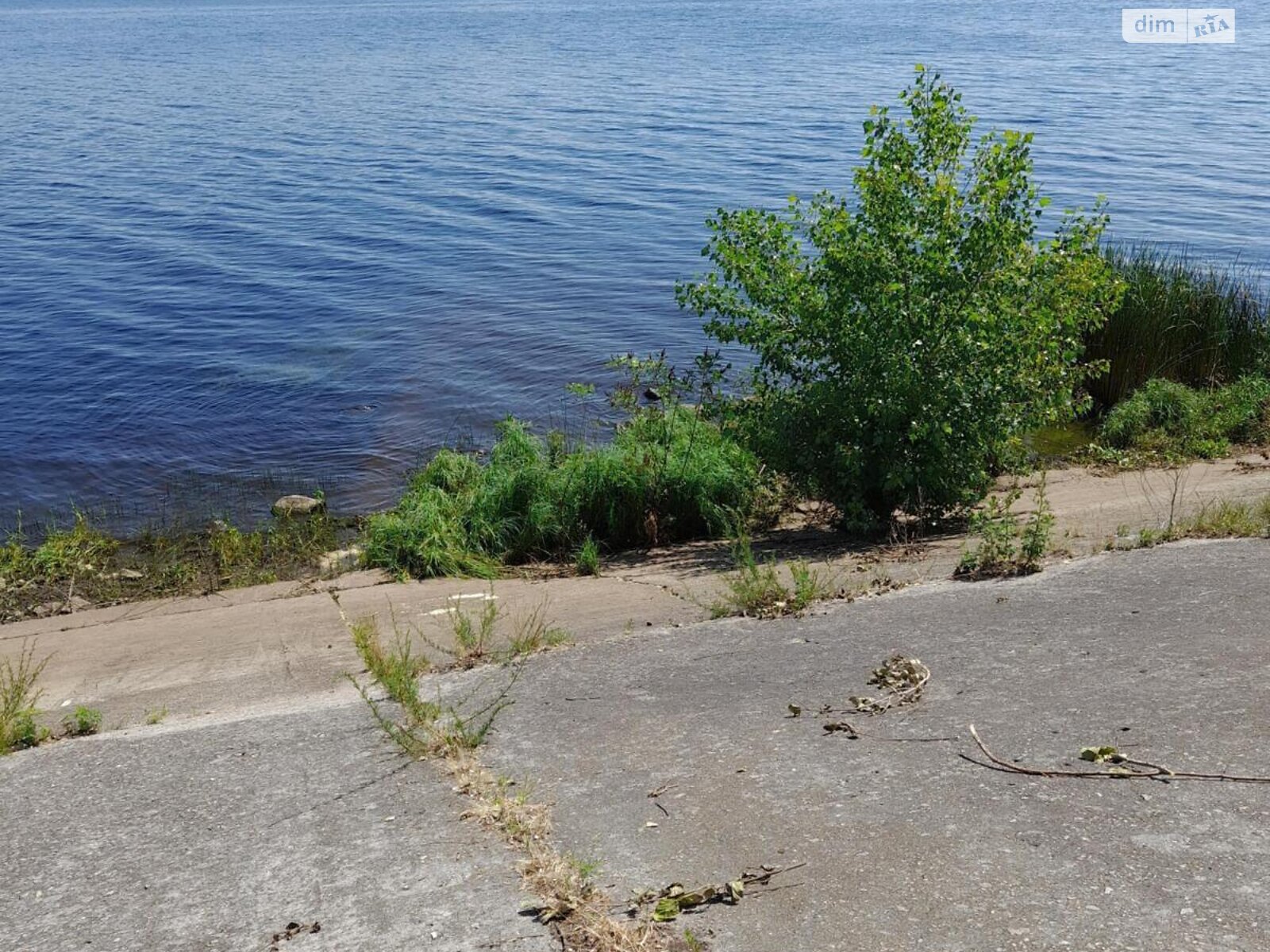 Земля сільськогосподарського призначення в Києві, район Оболонський, площа 4.19 сотки фото 1