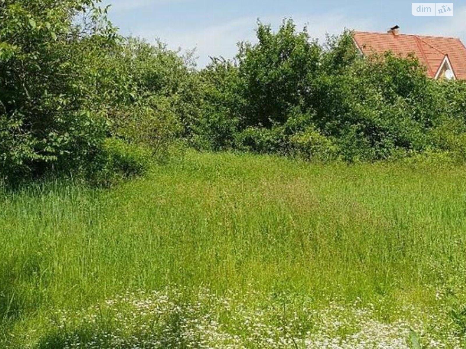 Земля сельскохозяйственного назначения в Киеве, район Осокорки, площадь 14 соток фото 1 Земля сельскохозяйственного назначения в Киеве, район Осокорки, площадь 14 соток фото 1