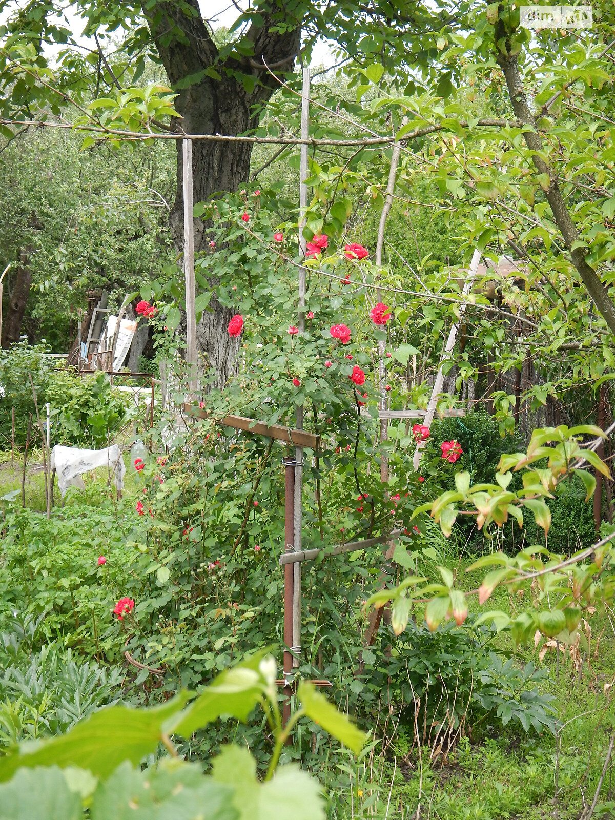 Земля сельскохозяйственного назначения в Киеве, район Подольский, площадь 6.6 сотки фото 1 Земля сельскохозяйственного назначения в Киеве, район Подольский, площадь 6.6 сотки фото 1