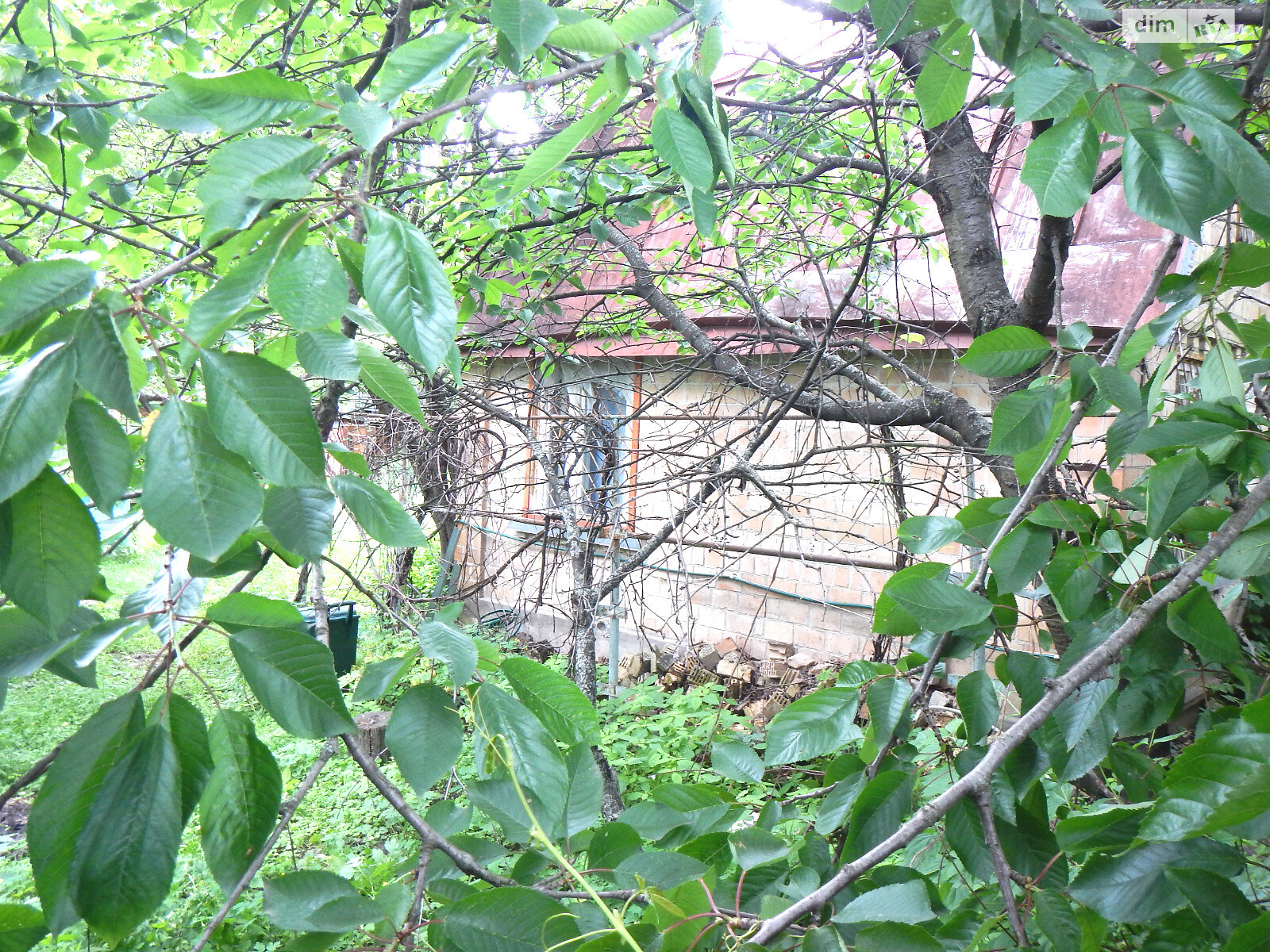 Земля сельскохозяйственного назначения в Киеве, район Подольский, площадь 6.6 сотки фото 1 Земля сельскохозяйственного назначения в Киеве, район Подольский, площадь 6.6 сотки фото 1