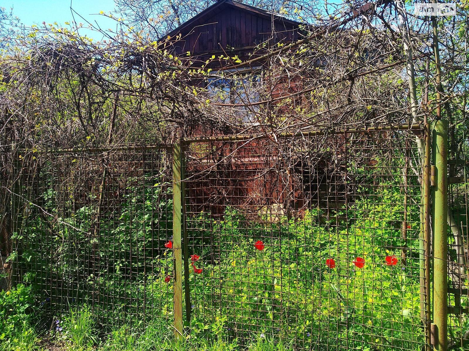 Земля сельскохозяйственного назначения в Киеве, район Русановские Сады, площадь 6 соток фото 1