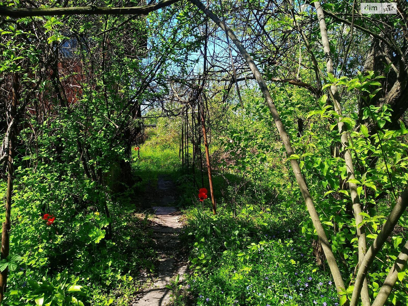 Земля сельскохозяйственного назначения в Киеве, район Русановские Сады, площадь 6 соток фото 1