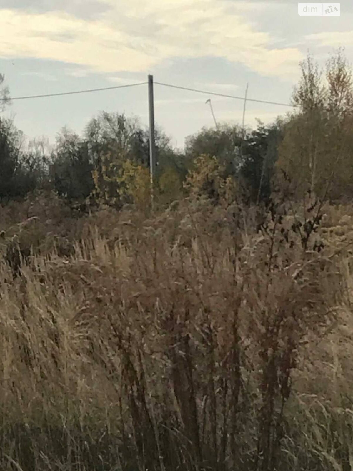 Земельна ділянка сільськогосподарського призначення в Києві, площа 12 соток фото 1 Земельна ділянка сільськогосподарського призначення в Києві, площа 12 соток фото 1