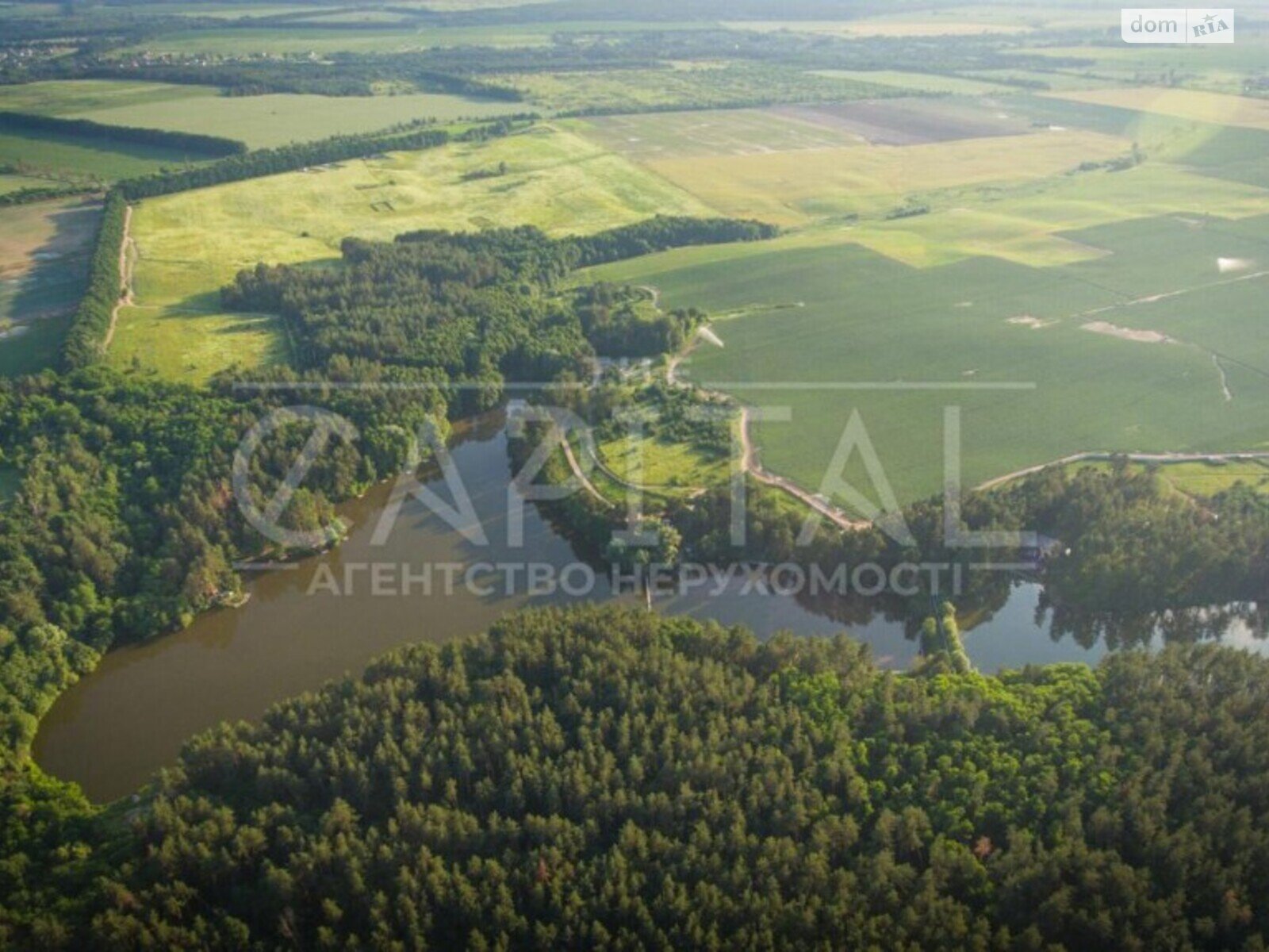 Земельна ділянка сільськогосподарського призначення в Горбовичах, площа 491 сотка фото 1