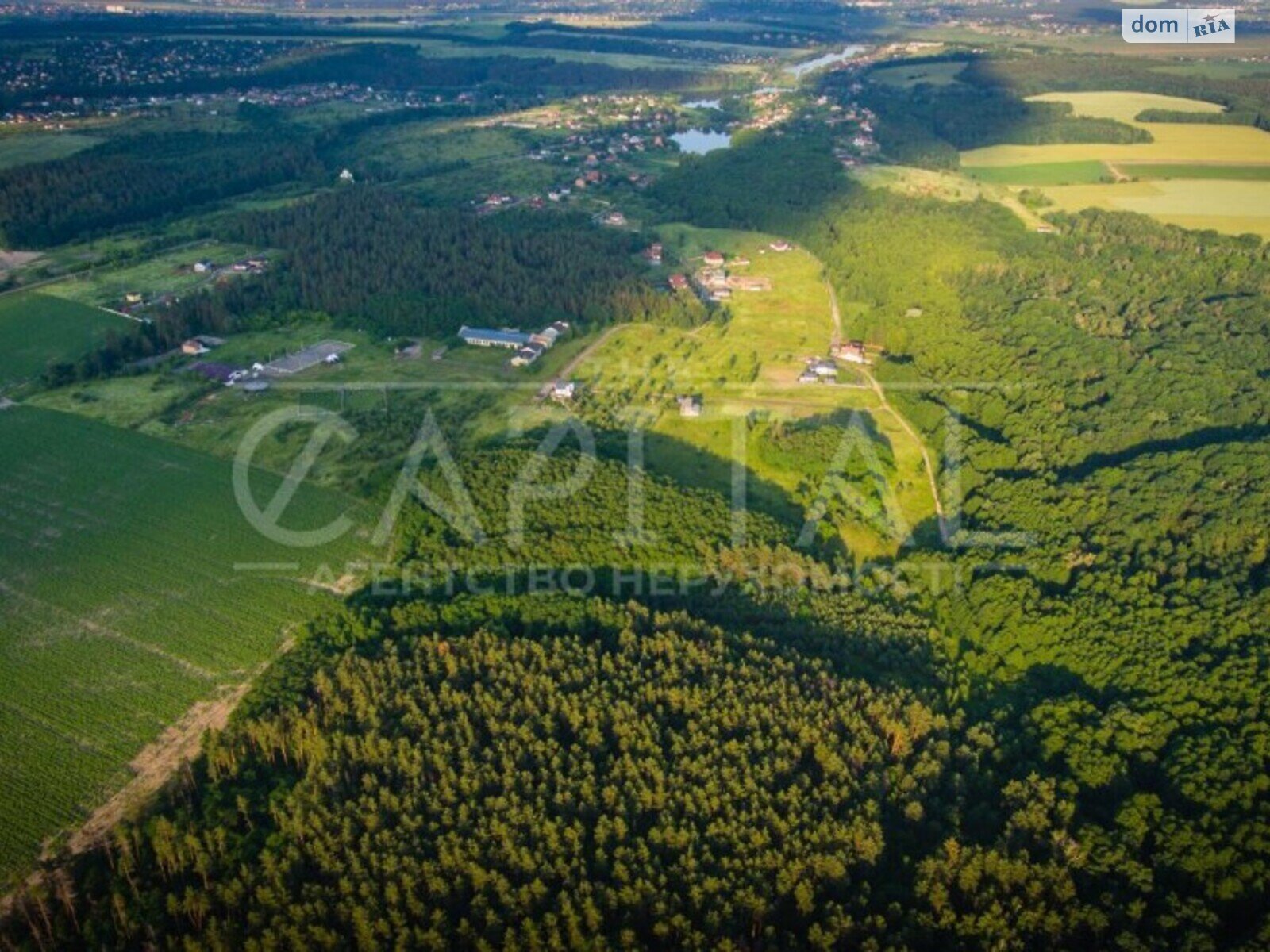 Земельна ділянка сільськогосподарського призначення в Горбовичах, площа 491 сотка фото 1