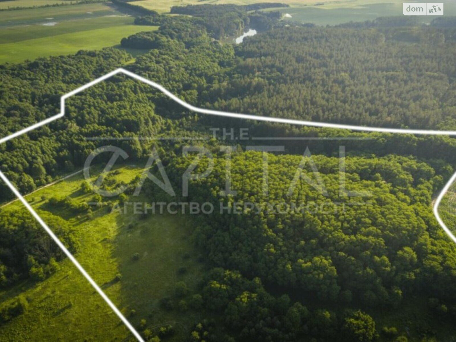 Земельна ділянка сільськогосподарського призначення в Горбовичах, площа 491 сотка фото 1